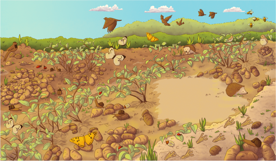 Escenario del patatal: un campo de tierra removida con plantas y papas, con su paleta de marrones.